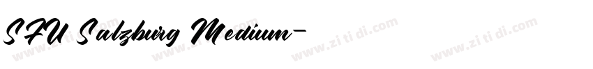 SFU Salzburg Medium字体转换